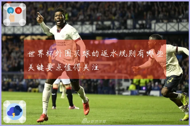 世界杯外围买球的返水规则有哪些关键要点值得关注