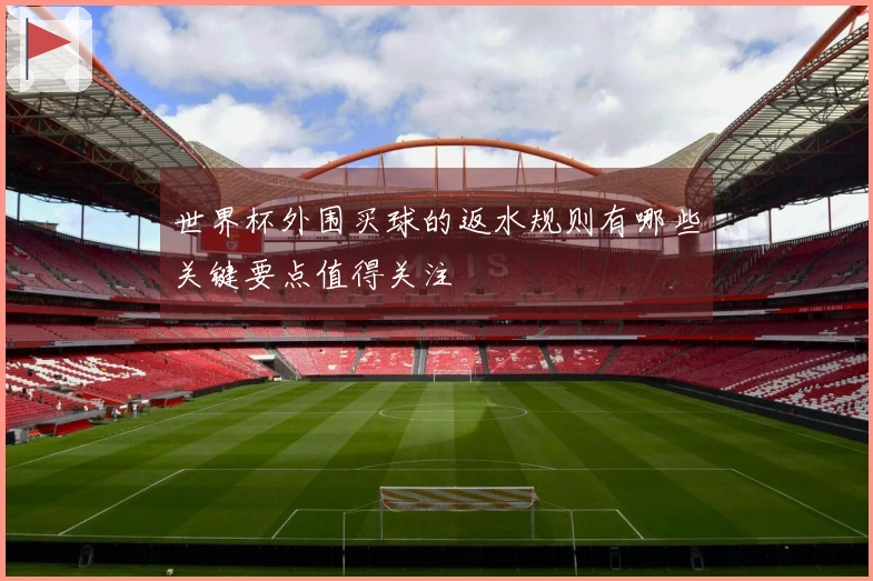世界杯外围买球的返水规则有哪些关键要点值得关注